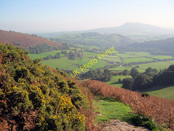 Photo 6"x4" Path off Hatterrall Hill Cwmyoy c2010