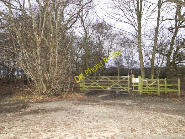 Photo 6"x4" Entrance to Walkbarn Farm at dusk Eastbridge\/TM4566 c2011
