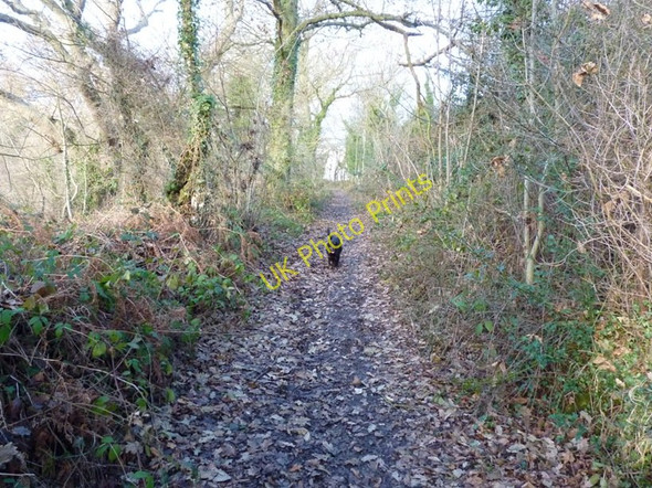 Photo 6"x4" Restricted Byway on Round Hill Smithie c2011