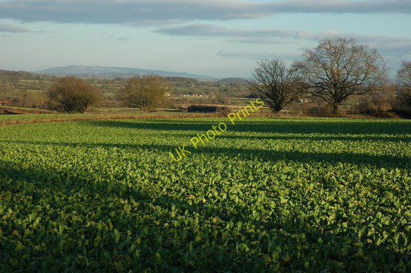 Photo 6"x4" Arable land at Broad Green Brand Green\/SO7428 c2011