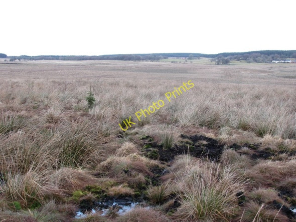 Photo 6"x4" Site of open cast workings, Whaup Knowe Forth\/NS9453 c2011