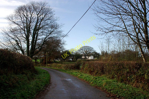 Photo 6"x4" A Winter Scene Near Eworthy Eworthy c2010