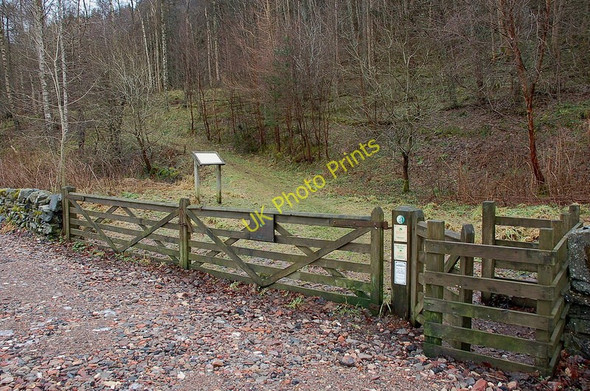 Photo 6"x4" Lay-by and gate, Plora Wood Innerleithen c2011