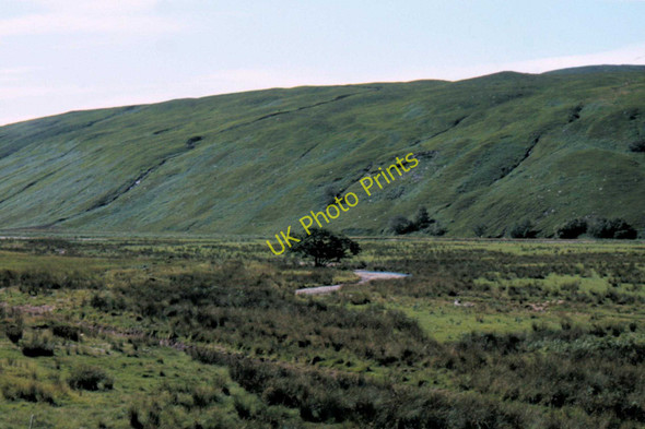 Photo 6"x4" Strath More - 1983 Strath More\/NC4544 c1983