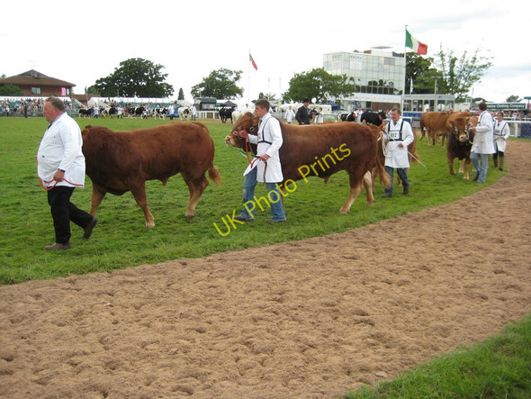 Photo 6"x4" The Royal Agricultural Show Stareton c2009