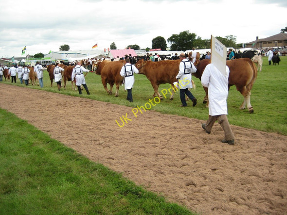 Photo 6"x4" The Royal Agricultural Show Stareton c2009 P1