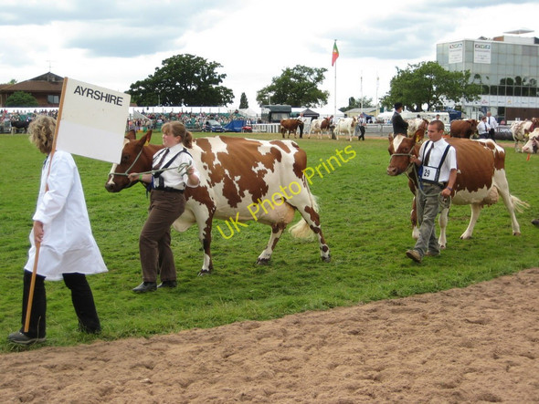 Photo 6"x4" The Royal Agricultural Show Stareton c2009 P3