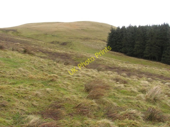 Photo 6"x4" Corb Law John's Hill\/NO0008 c2011