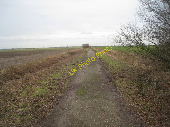 Photo 6"x4" Tindale Bank Road Misterton Soss c2011