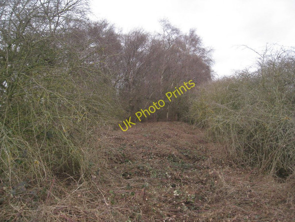 Photo 6"x4" The course of the Tickhill Light Railway Langholme\/SK7597 c2011