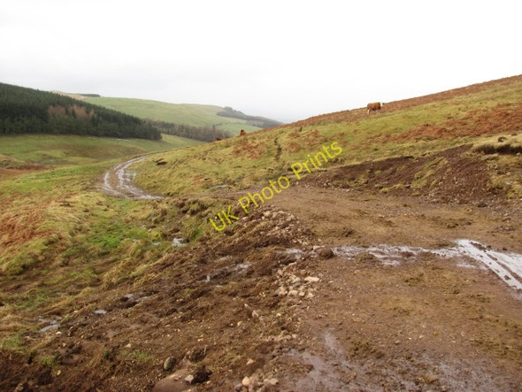 Photo 6"x4" Coulshill to Corb Bridge road Coul Burn c2011
