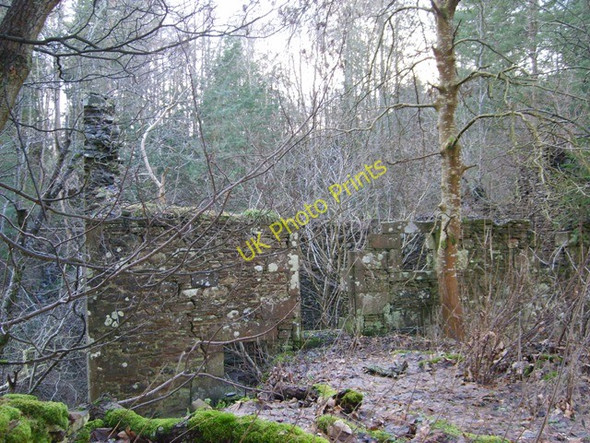 Photo 6"x4" Old entrance door to mill Hatton of Ogilvie c2011