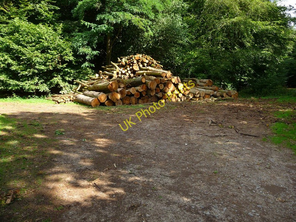 Photo 6"x4" Amport - Woodstack Amport c2010