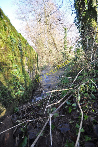 Photo 6"x4" The view upstream from a bridge on Rookbear Lane Muddiford c2011