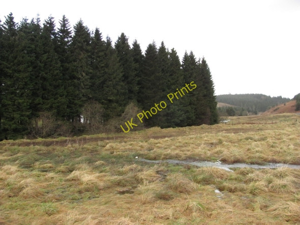Photo 6"x4" Wetland by the Glendey Burn Glendevon\/NN9904 c2011