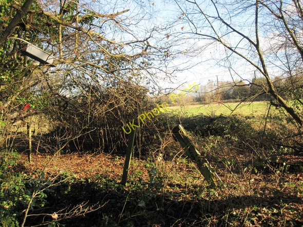 Photo 6"x4" View from boundary of Home Covert  woods across fields to Redbridge Lane Totton c2011