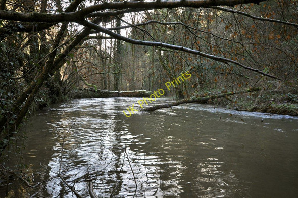 Photo 6"x4" Approaching the weir on Bradiford Water just above Plaistow Mill Muddiford c2011