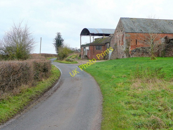 Photo 6"x4" Lane from Blakeney  to Awre Awre c2009