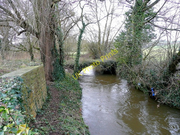 Photo 6"x4" Bideford Brook Hagloe c2009