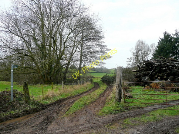 Photo 6"x4" Footpath to Bledisoe and Blakeney Hagloe c2009