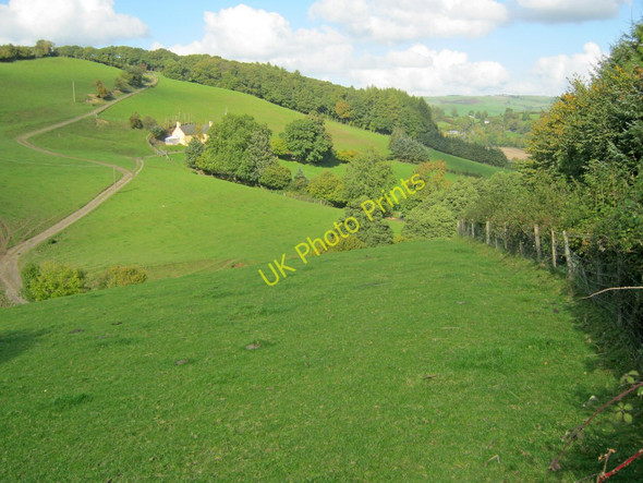 Photo 6"x4" Llan-gwyn House Heyope c2010