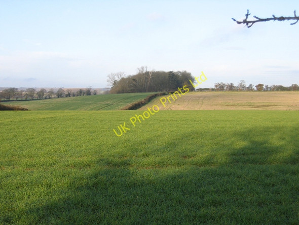 Photo 6"x4" Jubilee Wood and farmland, west of Upton, Peterborough Upton\/TF1000 c2005