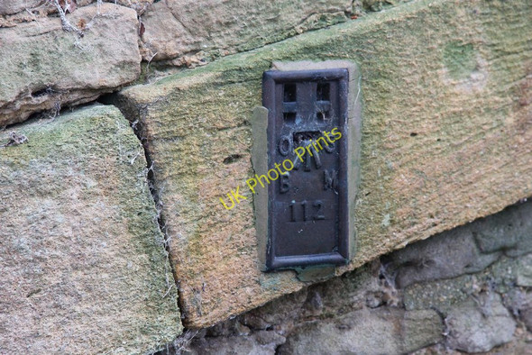 Photo 6"x4" Number 112 Buckland Marsh c2010
