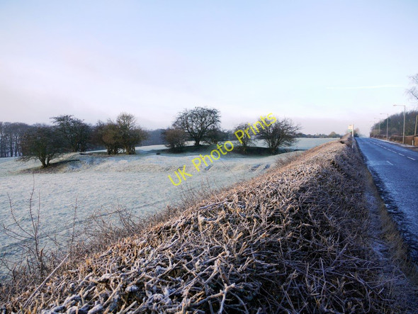 Photo 6"x4" Pasture, Hexham Road, east of Heddon on the Wall Ryton\/NZ1564 c2011