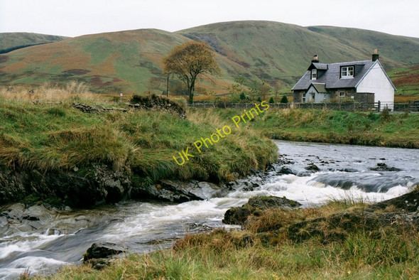Photo 6"x4" Crook Cottage with Ettrick Water in foreground Crook Cott c2002