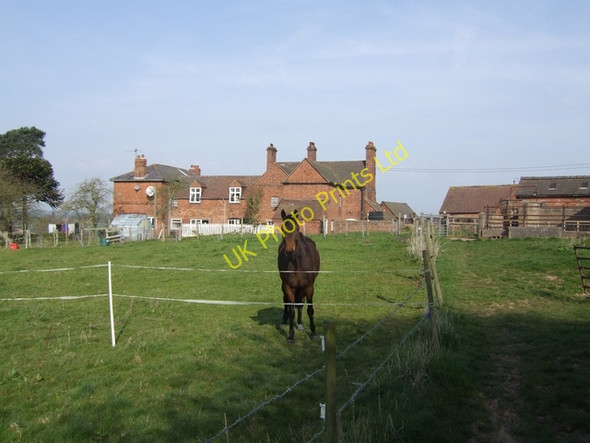 Photo 6"x4" Meashill Farm Bishops Wood c2007