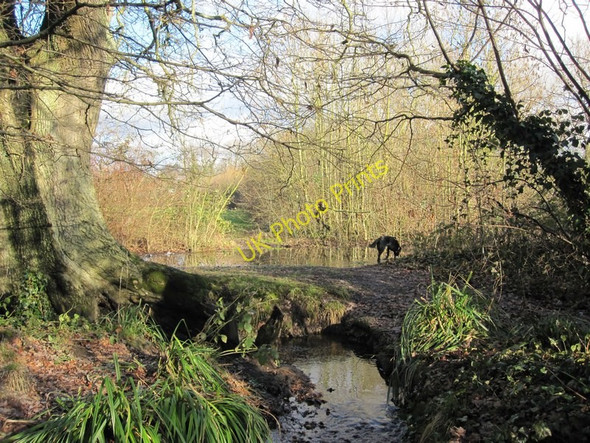 Photo 6"x4" The little stream in Home Covert Woods, Nursling Nursling c2011