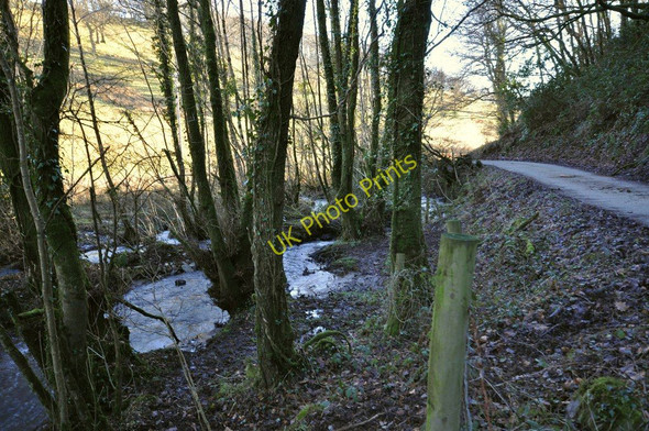 Photo 6"x4" Colam Stream meanders through a valley beside Bittadon Ball Woods Little Silver\/SS5440 c2011