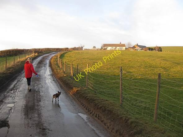 Photo 6"x4" A walk up Orchard Hill Marton\/SE7383 c2011