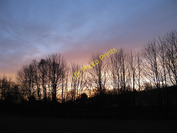 Photo 6"x4" Winter treeline Normanby\/SE7381 c2011