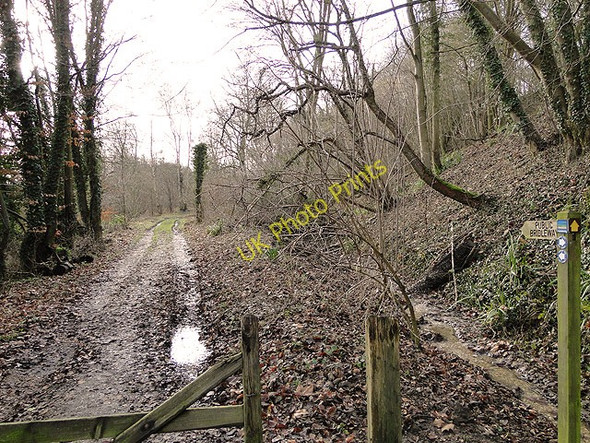 Photo 6"x4" Bridleway and Bigods Way footpath below Bath Hills Ditchingham c2011