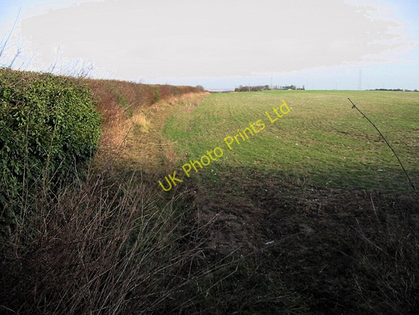 Photo 6"x4" Looking NE along the field boundary on Thornton Lane Heronden\/TR2954 c2008