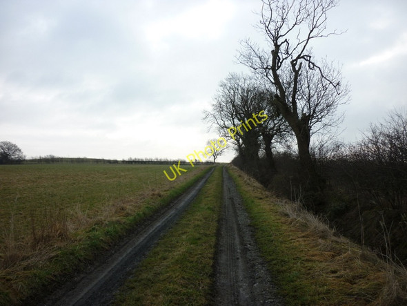 Photo 6"x4" Walking south from Barnoldby le Beck Barnoldby le Beck c2011
