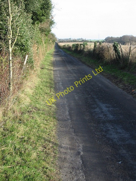 Photo 6"x4" Looking NE along Thornton Lane Knowlton\/TR2853 c2008