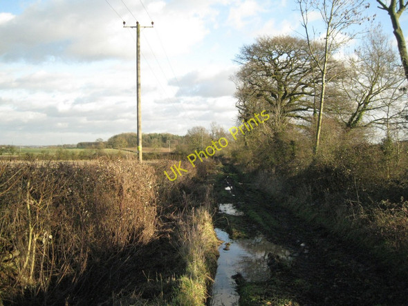 Photo 6"x4" Canada Lane Littleworth\/SP2363 c2011