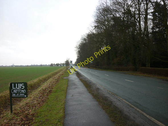 Photo 6"x4" East along Waltham Road, Barnoldby le Beck Barnoldby le Beck c2011
