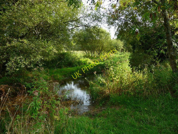 Photo 6"x4" Longstock - Over The Bridge Leckford c2010
