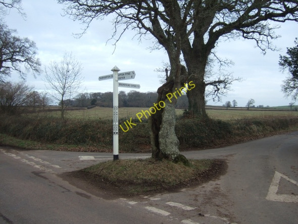 Photo 6"x4" Starved Oak Cross Pye Corner\/SX9198 c2011