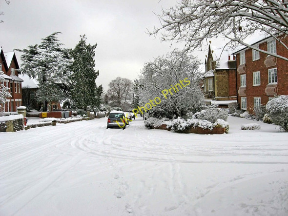 Photo 6"x4" A snow-covered Albury Road Guildford c2010 P1