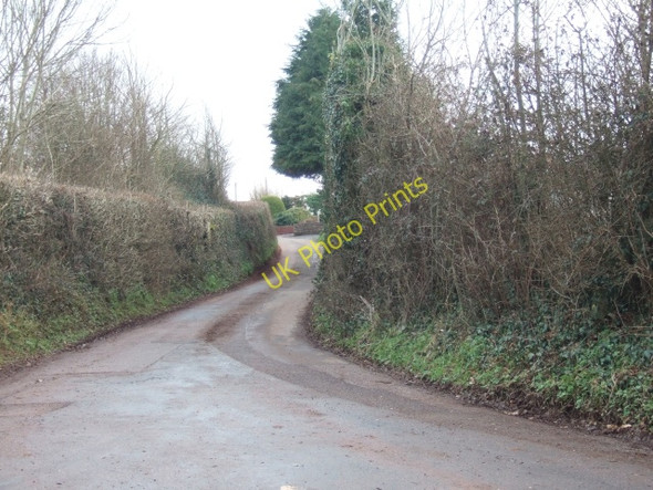 Photo 6"x4" Road south from Rew Cross Sweetham c2011
