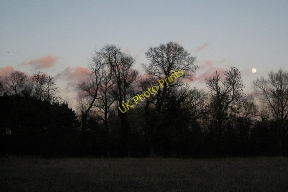 Photo 6"x4" Trees along a brook, moonrise Littleworth\/SP2363 c2011