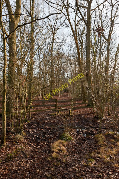 Photo 6"x4" Footpath between Curbridge and Whiteley Burridge\/SU5110 c2011