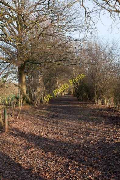 Photo 6"x4" Footpath from Burridge to Ridge Farm Burridge\/SU5110 c2011