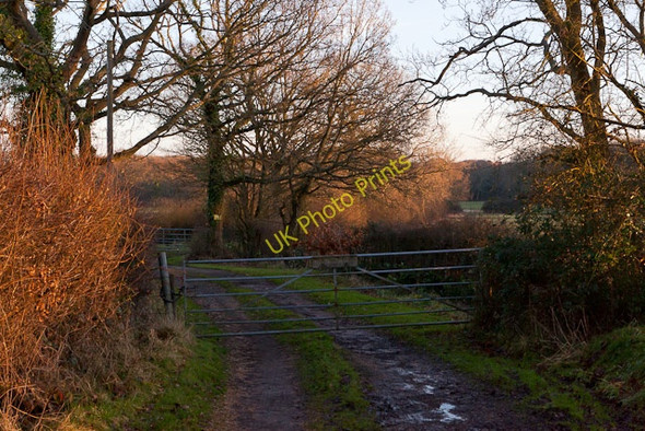 Photo 6"x4" Entrance to Whiteley Farm Burridge\/SU5110 c2011