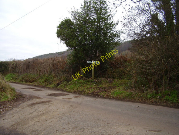 Photo 6"x4" Footpath to Fire Beacon Hill Coombe\/SY1091 c2011