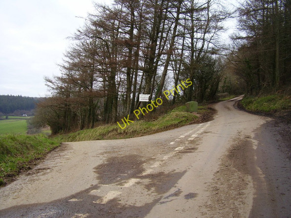 Photo 6"x4" Burscombe Cross (1) Sidbury\/SY1391 c2011